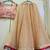 Beige Georgette lehenga Choli