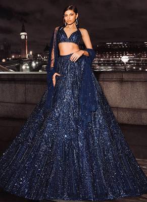 Blue Net Lehenga Choli 1