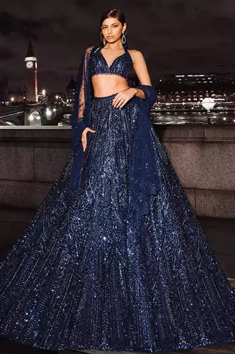 Blue Net Lehenga Choli