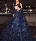 Blue Net Lehenga Choli
