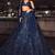 Blue Net Lehenga Choli