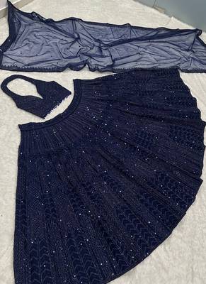 Blue Net Lehenga Choli 2