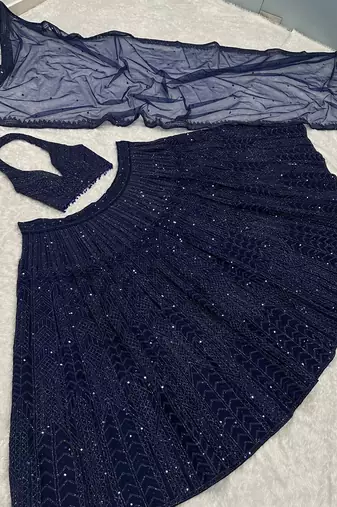 Blue Net Lehenga Choli