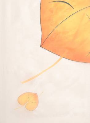 White & mustard yellow floral organza saree 4
