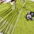 parrot green heavy cording embroidery dori and sequin work silk blend gown set