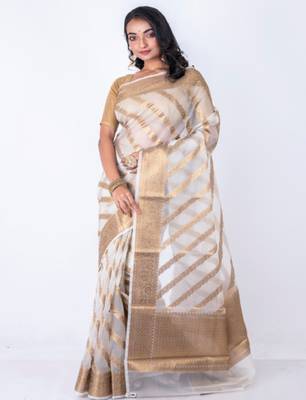 Striped woven design zari organza banarasi saree 3