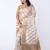 Striped woven design zari organza banarasi saree
