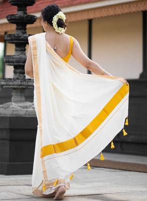 Zari pure cotton kasavu saree 4