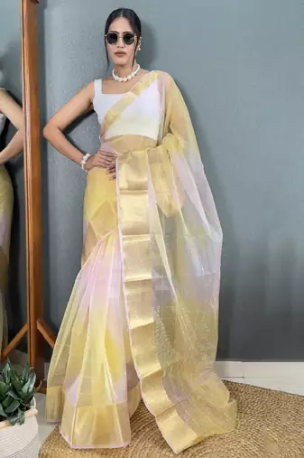 Zari organza kanjeevaram saree