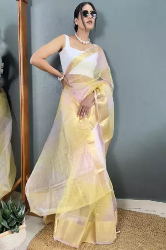 Zari organza kanjeevaram saree