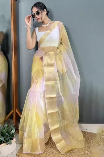 Zari organza kanjeevaram saree