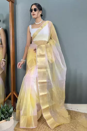 Zari organza kanjeevaram saree