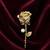 Gold plated rose flower pearl brooch for women |