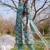 Women Floral Printed Cotton Kurta with Trousers & With Dupatta
