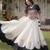 pink chinon Lehenga and top with embroidery & Sequin work