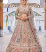 Beige Peacock Motifs and hand Embroidery Lehenga choli