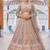 Beige Peacock Motifs and hand Embroidery Lehenga choli