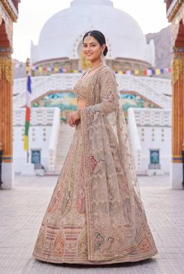 Beige Peacock Motifs and hand Embroidery Lehenga choli 2
