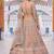 Beige Peacock Motifs and hand Embroidery Lehenga choli