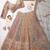 Beige Peacock Motifs and hand Embroidery Lehenga choli