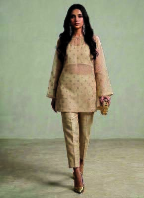 Nude beige embroidered organza co ord set 1