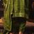 Embroidered Round Neck Straight Kurta With Trousers & Dupatta