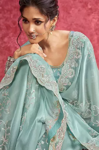 Sky blue galaxy heavy embroidery with sequince work saree with blouse