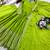 Parrot Green Color Embroidery Sequences Work With Real Mirror Work Silk Blend Gown Set