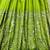 Parrot Green Color Embroidery Sequences Work With Real Mirror Work Silk Blend Gown Set