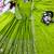 Parrot Green Color Embroidery Sequences Work With Real Mirror Work Silk Blend Gown Set
