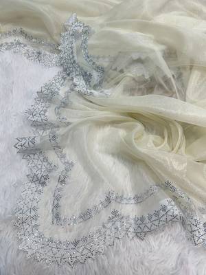 White Color Rich Diamond Cut Work Panel Work Tissue Tweel Net Saree 2