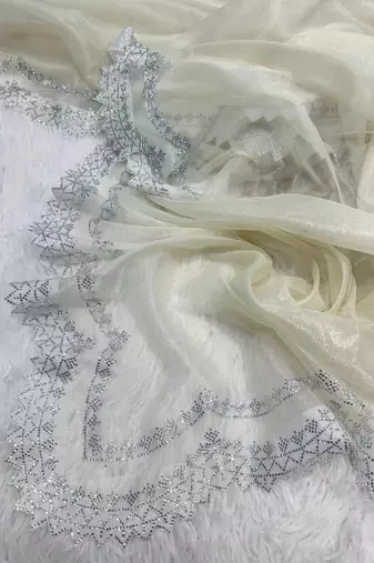 White Color Rich Diamond Cut Work Panel Work Tissue Tweel Net Saree