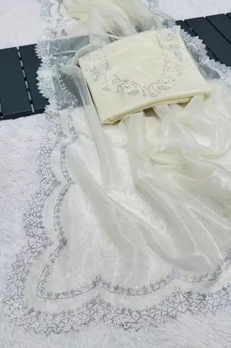 White Color Rich Diamond Cut Work Panel Work Tissue Tweel Net Saree