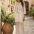Women Floral Printed Cotton Kurta with Trousers