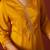 Women Ethnic Motifs Embroidered Sequinned Kurta with Trousers & With Dupatta