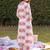 Women Printed Cotton Kurta with Trousers