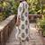 Women Ethnic Motifs Printed Cotton Kurta with Trousers