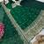 Green fendy silk blend embroidered gown set with dupatta