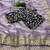 Lavender Color Embroidery Sequence Work with Rich Floral Border Silk Blend Saree