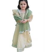 Beige green embroidered silk lehenga set