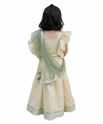 Beige green embroidered silk lehenga set 4