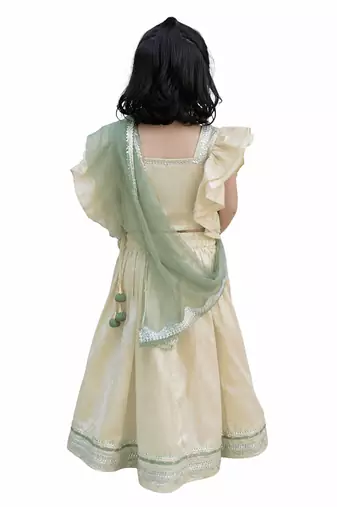 Beige green embroidered silk lehenga set