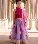 Rani pink lavender embroidered velvet lehenga set