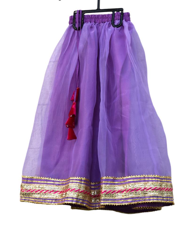 Rani pink lavender embroidered velvet lehenga set