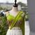 White & Lime Green Cotton Chaniya Choli For Navratri Set with Embroidery Real Mirror Work and Georgette Dupatta