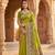 Parrot green pashmina paithani silk saree with beautifully multicolor border and pallu