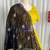 Women's Mustard Yellow Navratri Lehenga Choli with Black  Dupatta- Full stitched free size
