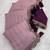 Onion Pink Color Embroidery lace border Tissue Net Saree