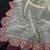 Sea Green Color Embroidery lace border Tissue Net Saree