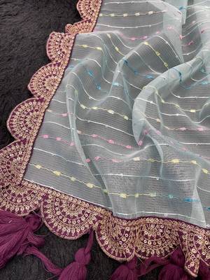Sky Blue Color Embroidery lace border Tissue Net Saree 2